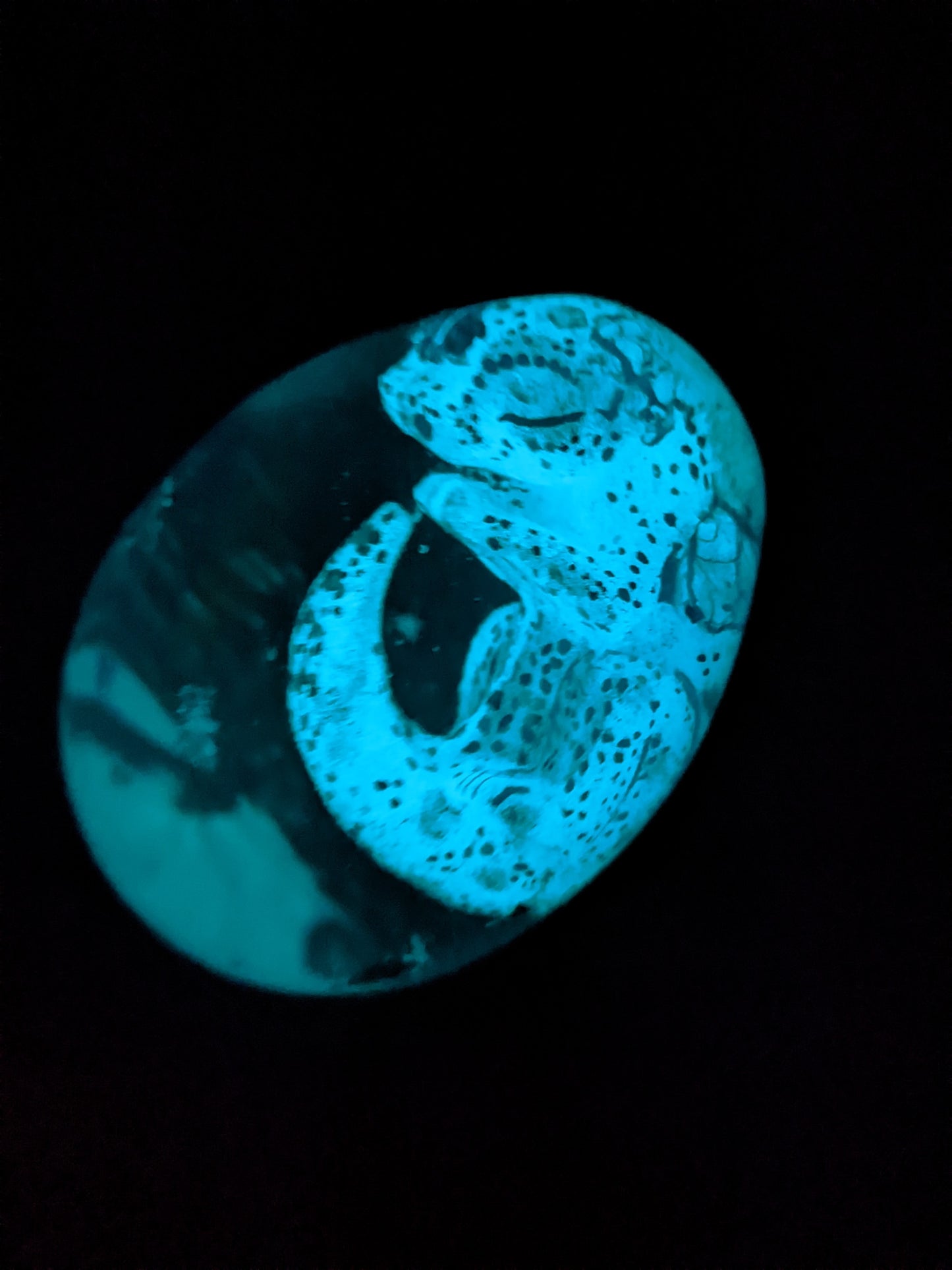 Nimbus Dragon in Egg Light - Keychain