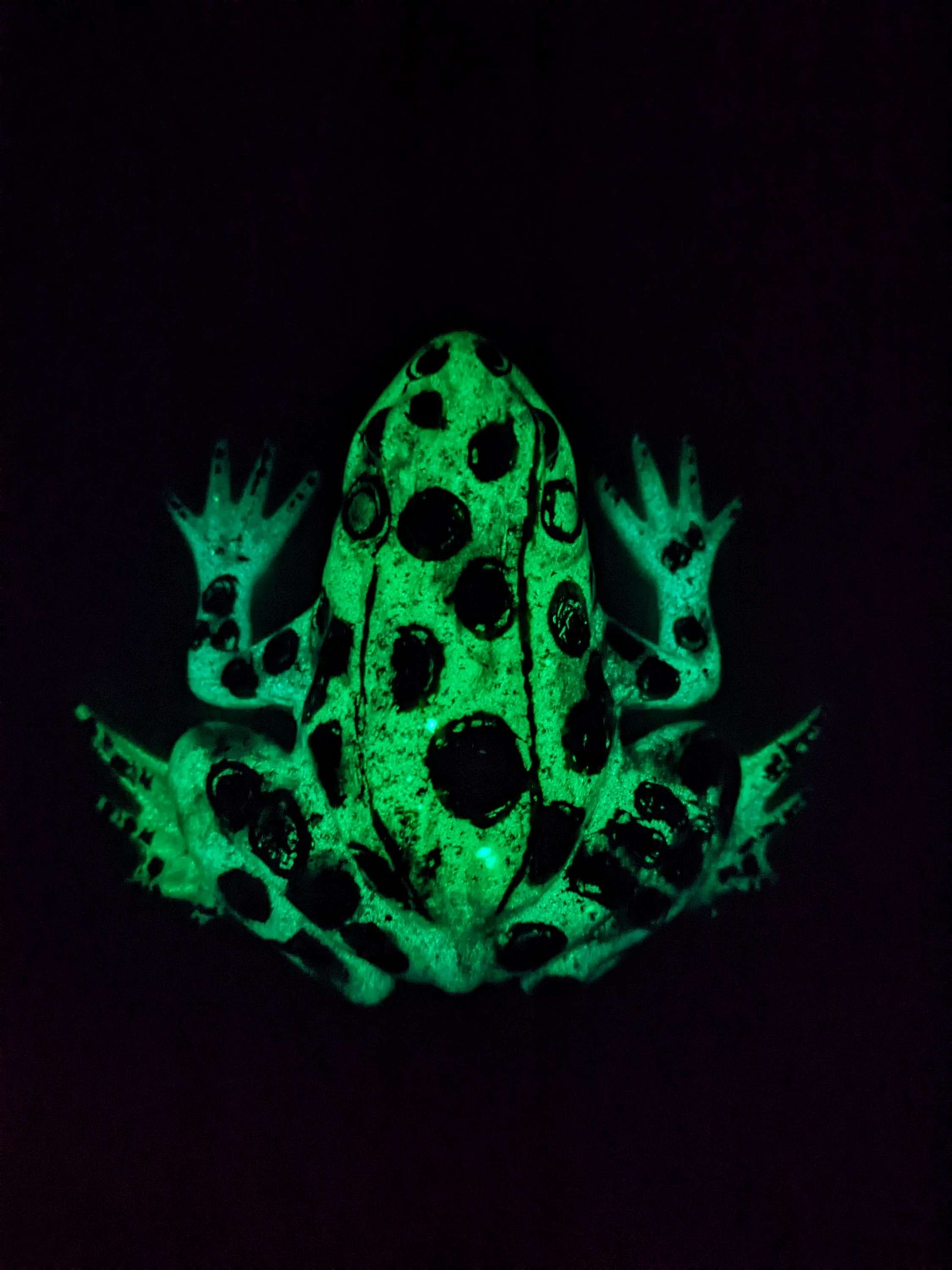 Glowing Frog - Keychain