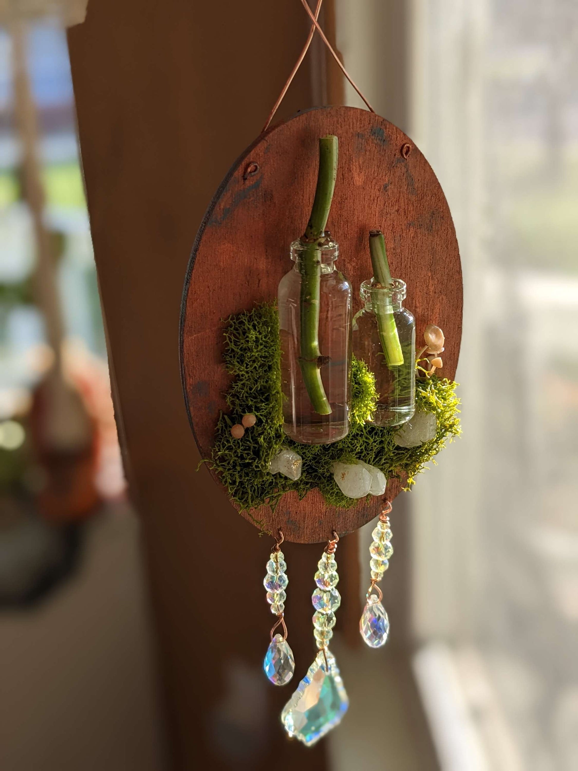 Mossy crystal Sun catcher & Succulent Propagator - Keychain